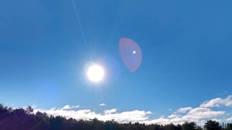 Symbiotic Horizons Farm