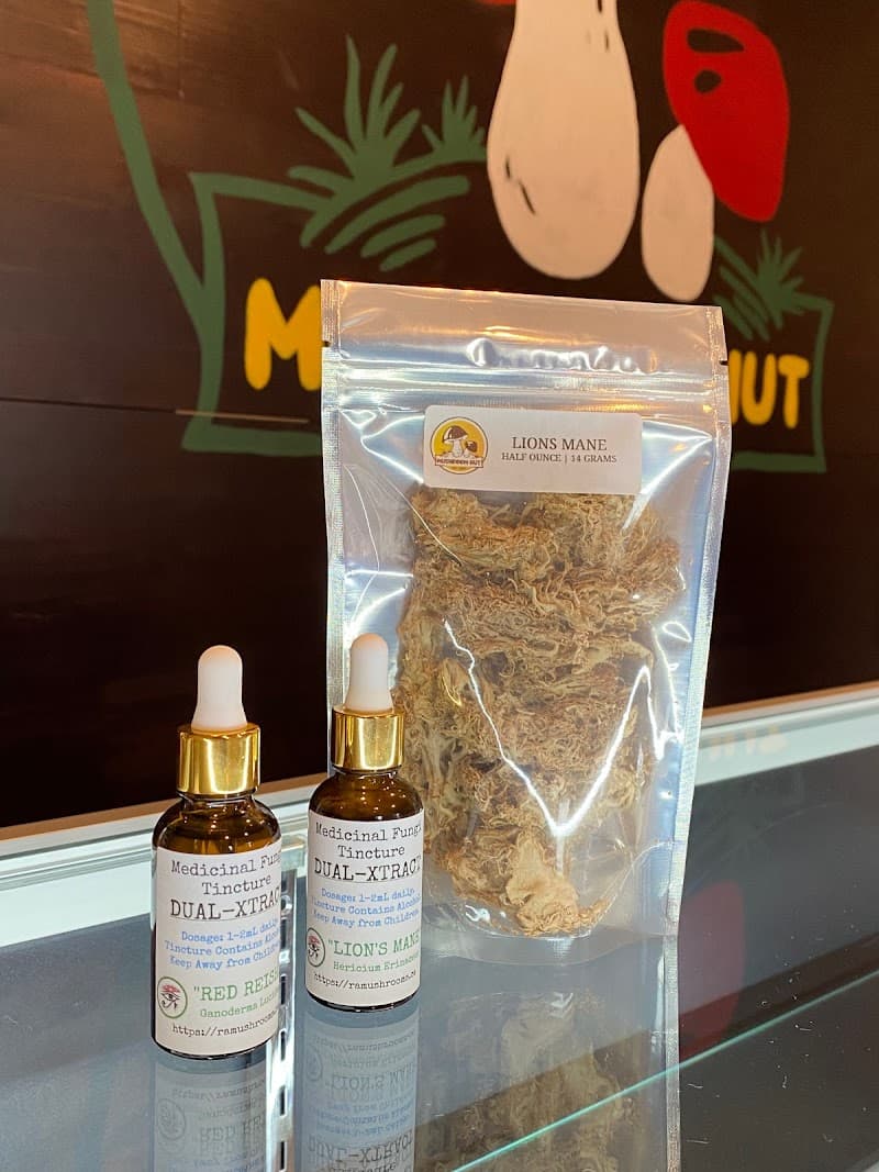 The Mushroom Hut — additional photo