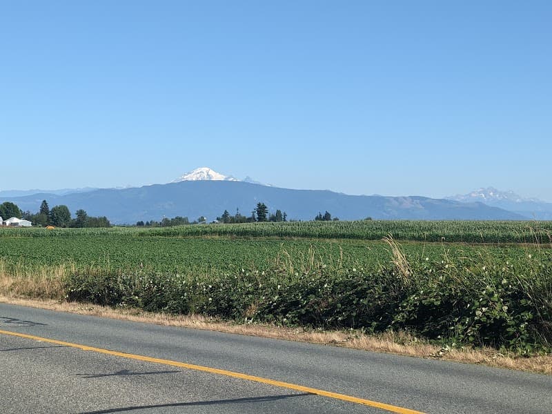 Triple 8 Mushrooms Farm