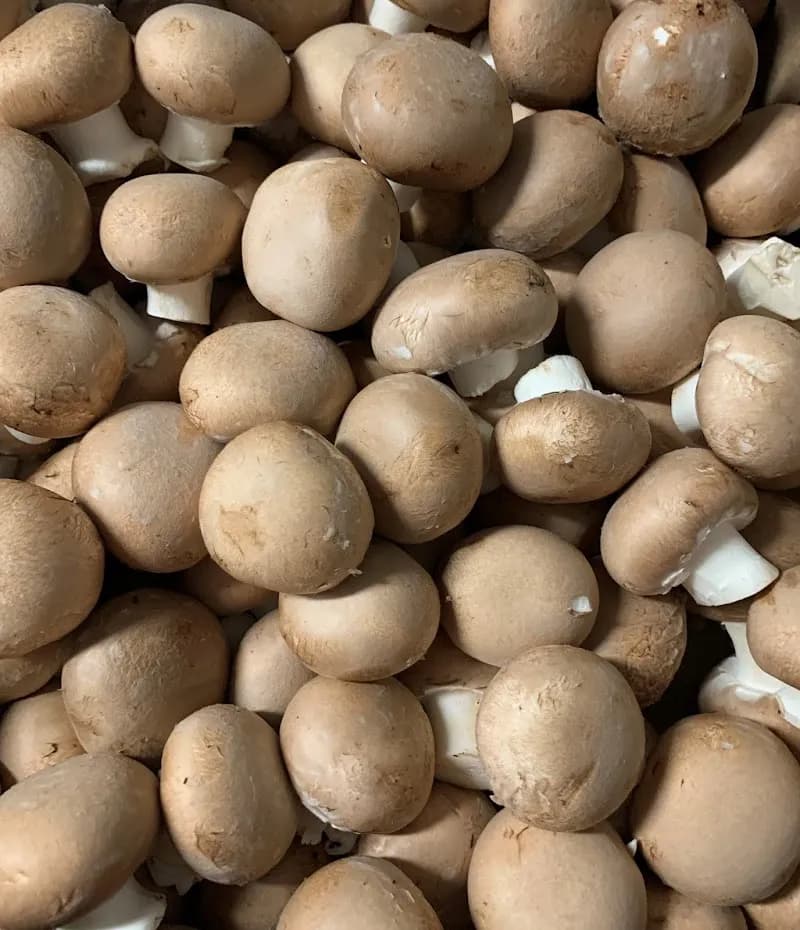 Unionville Mushrooms Farm — additional photo