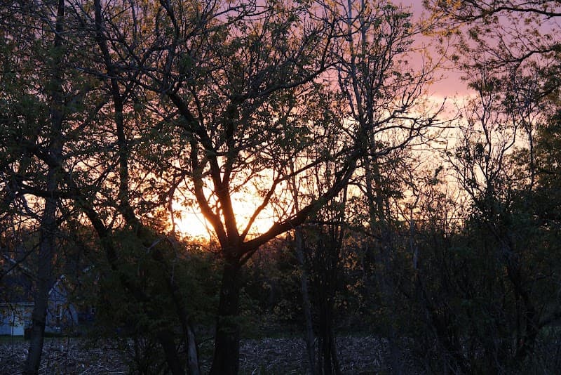 W&T Mushroom LTD — additional photo