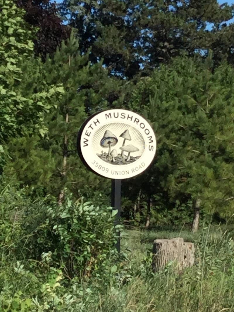 Weth Mushrooms Inc. — additional photo