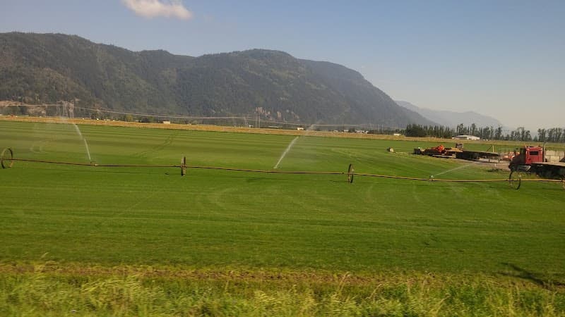 White Cap Mushroom Farm Ltd — additional photo