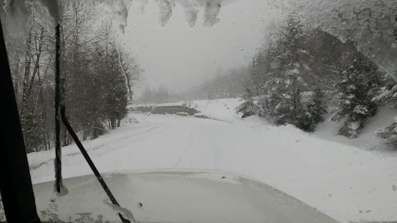 White cap Mushroom Farm Ltd
