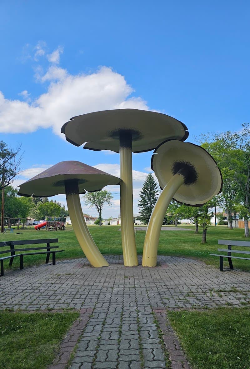 World's Largest Mushrooms