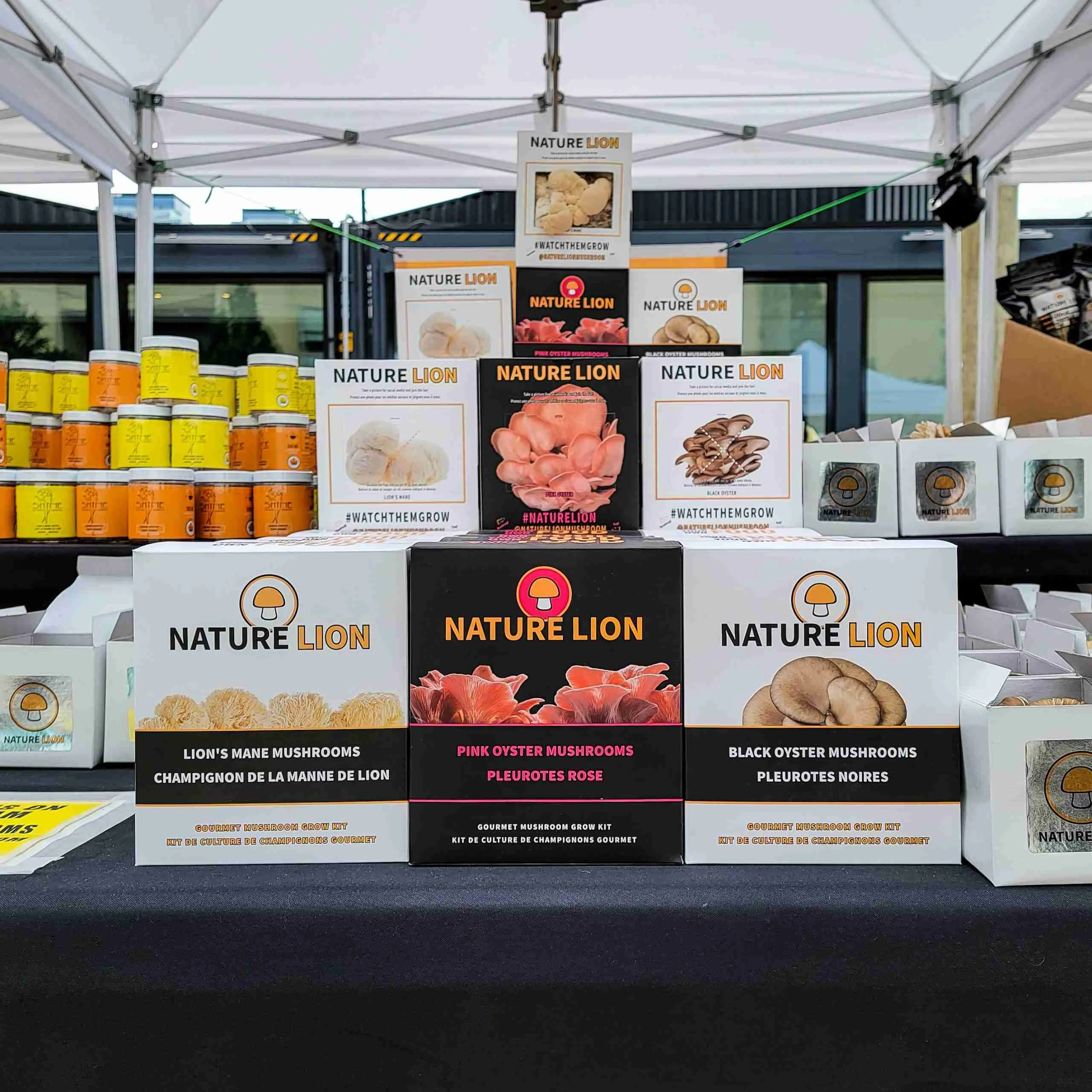 Nature Lion selling fresh mushrooms at an Ontario farmers market