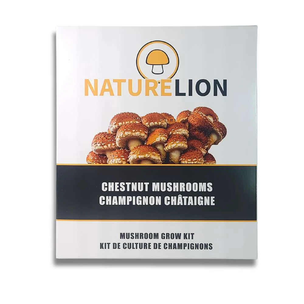 Nature Lion mushroom grow kit packaging ready for market