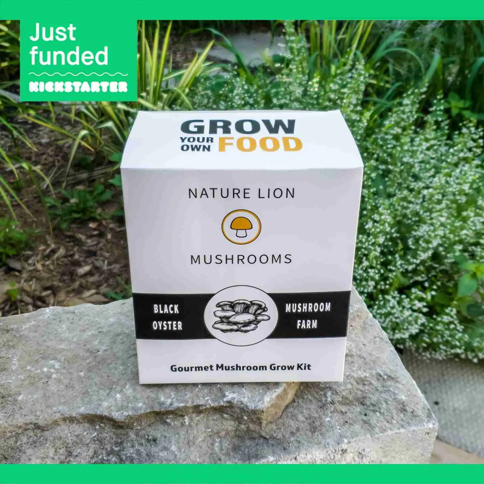 Nature Lion's Kickstarter campaign — where it all started