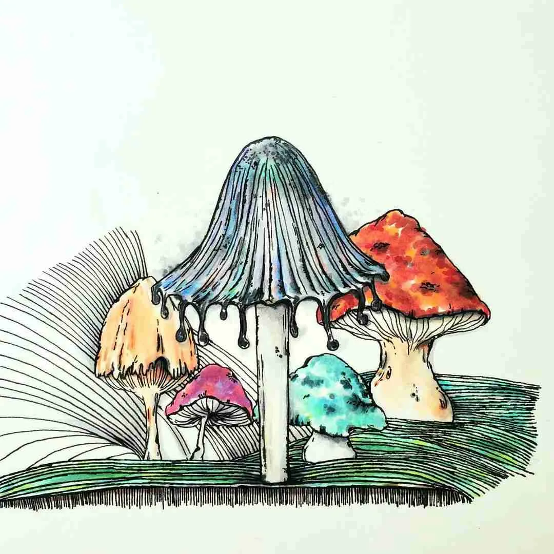 Mushroom mural art at the Nature Lion facility