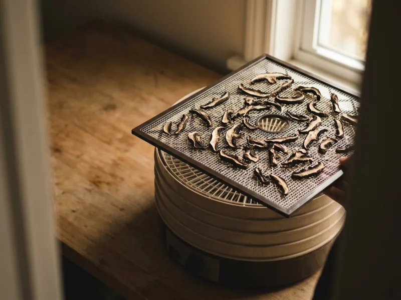 Mesh trays loaded with sliced mushrooms pulled from a dehydrator