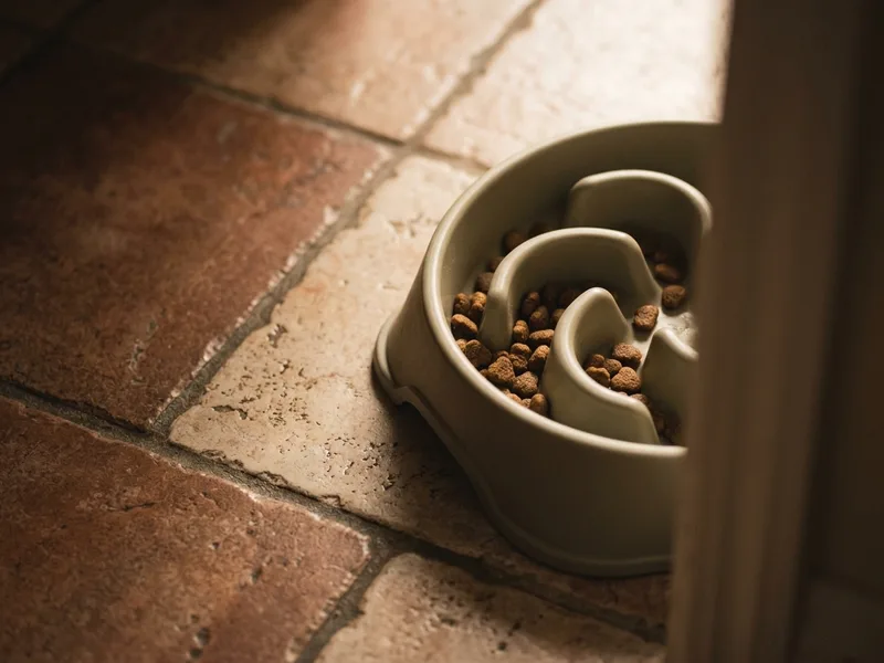 A slow feeder bowl on a tiled floor, seen from above