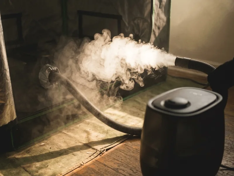 An ultrasonic humidifier feeding fog through a hose into a grow tent