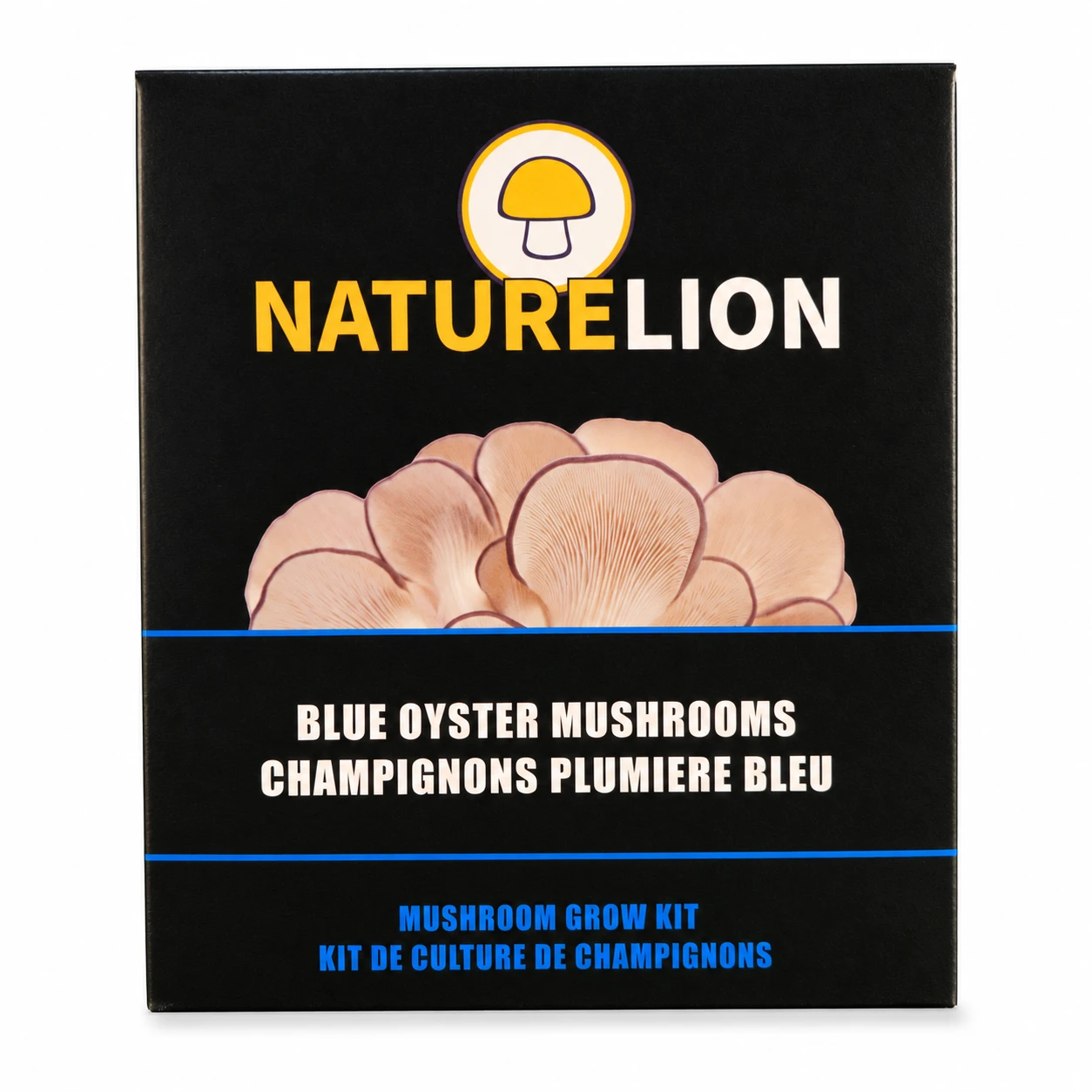 Blue Oyster Grow Kit